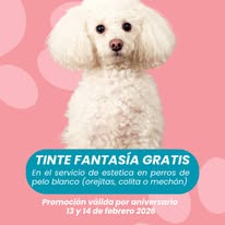 Promoción de tinte fantasía gratis