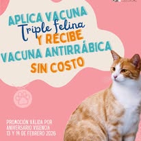 Promoción vacuna triple felina y antirrábica