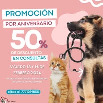 Promoción 50 por ciento de descuento en consulta