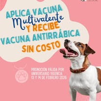 Promoción vacuna multivalente y antirrábica