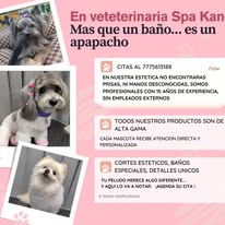 Logo Spa Kanes